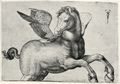 Barbari, Jacopo de': Pegasus